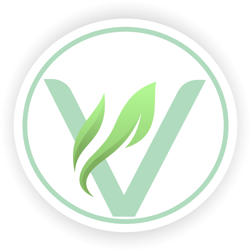 logo vive sano y seguro ecuador
