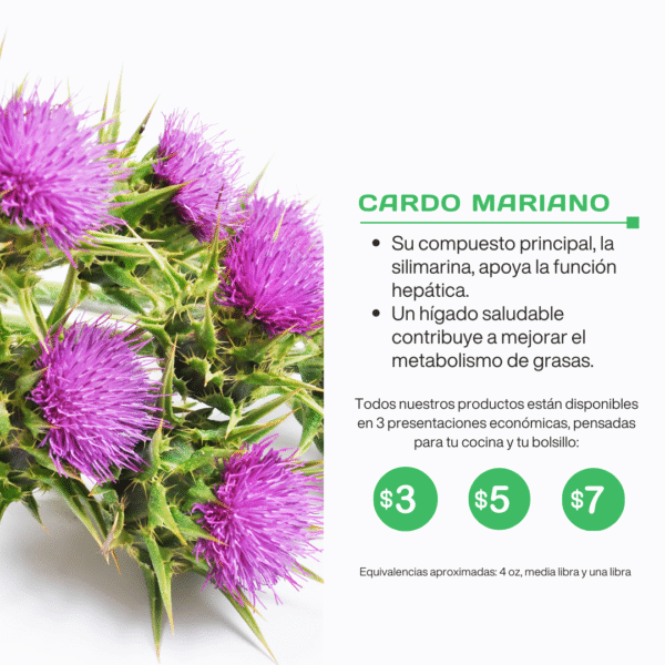 Cardo mariano